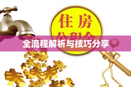 武义全流程解析与技巧分享
